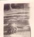 19-06